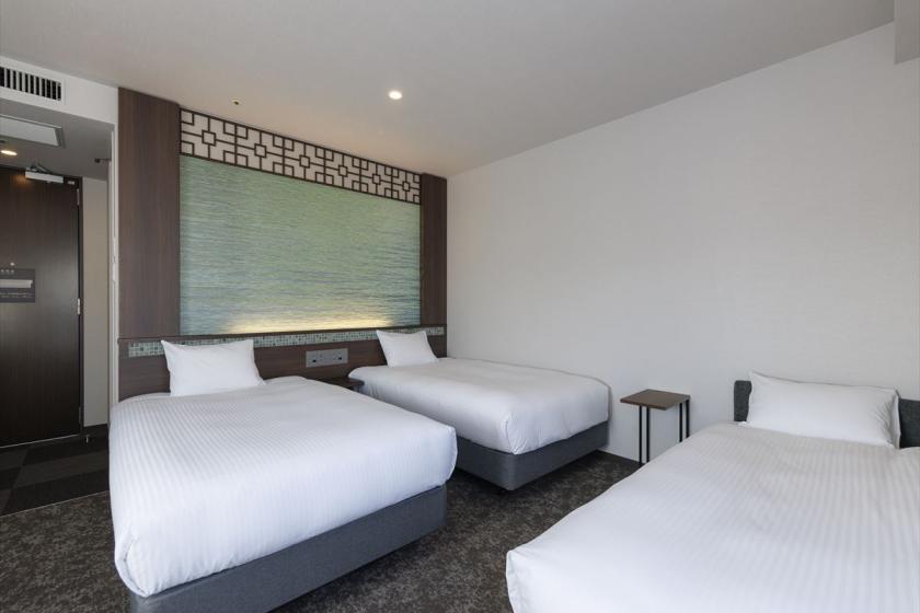 Deluxe Twin Room for 3 people, 28 square meters, bed width 120cm