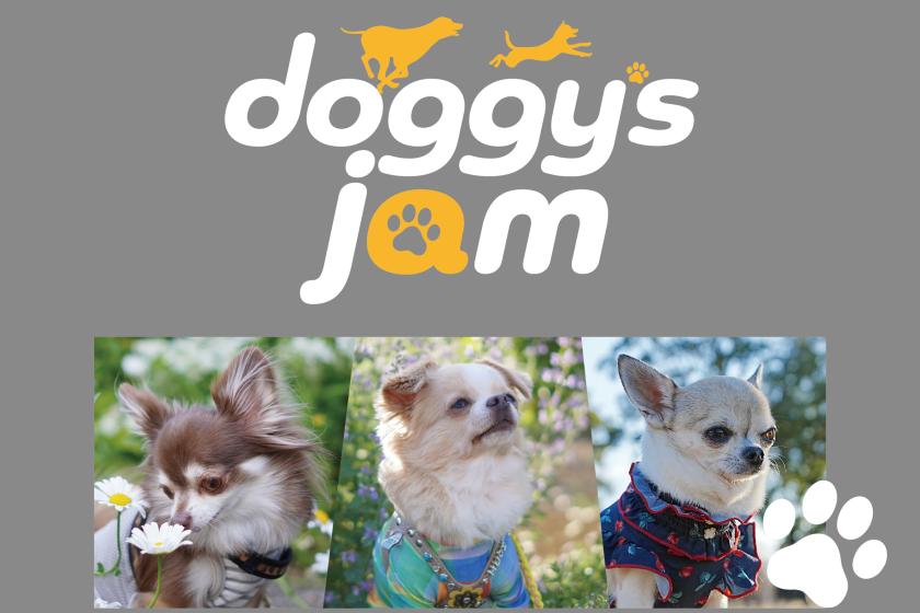 【ドギーズ主催のオフ会♪ Doggy's JAM ～チワワ～】2025年6月7日（土）開催！参加費無料+お食事券2000円分プレゼント♪／朝食ブッフェ付き