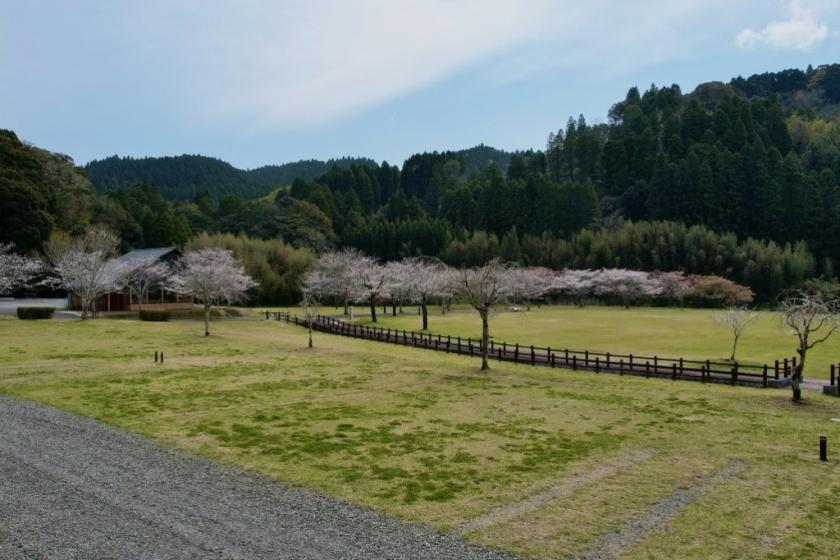 A19  区画オートサイト
