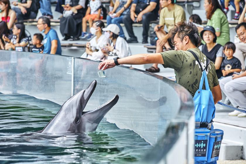 【京都水族館＆展望室入場券付】夏休み★家族旅行におすすめ！夕朝食ビュッフェ満喫プラン*夕食は別館でご用意いたします