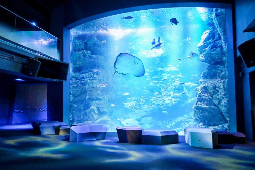 【京都水族館＆展望室入場券付】夏休み★家族旅行におすすめ！夕朝食ビュッフェ満喫プラン*夕食は別館でご用意いたします