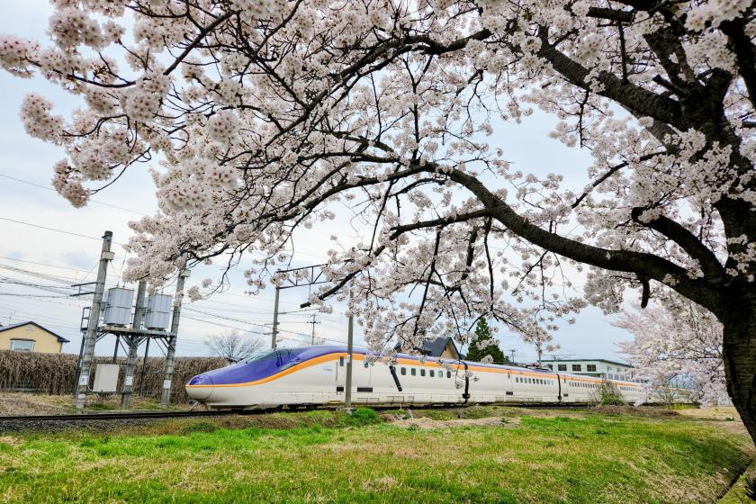[Free bed sharing] [Family group] [Up to 4 people can stay together] (Breakfast included) Hot spring + close to the station! Free parking