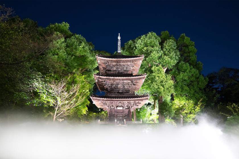 [Firefly Evening] Garden admission ticket