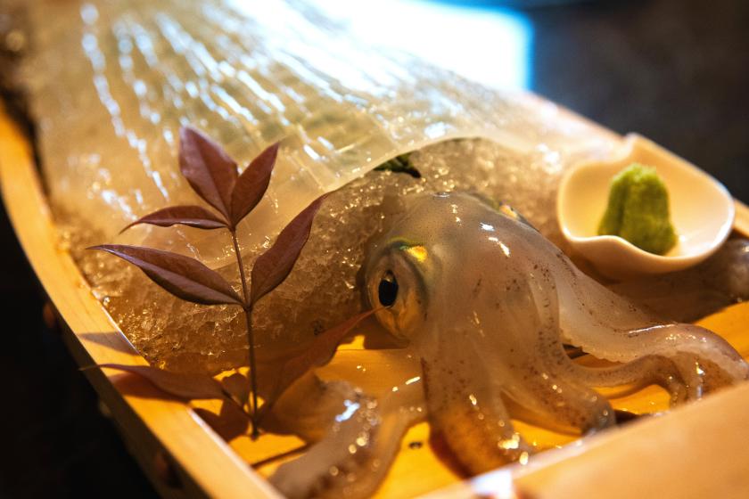 【夕食利用可クーポン付】提携飲食店等コラボ企画10000円分クーポンプレゼント