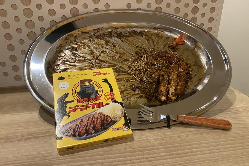 変なホテルコラボ記念★美味しいカレーで世界に元気を届ける！ゴーゴーカレールーム＜朝食付き＞