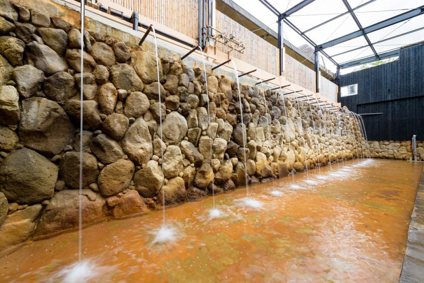 【別府の地獄を学ぶ・めぐる・浸かるプラン】地獄温泉ミュージアム×地獄めぐり2ヶ所×ひょうたん温泉付き★星館スタンダード(海側)★一泊二食ビュッフェ付きプラン 2026.4.1～(L83)