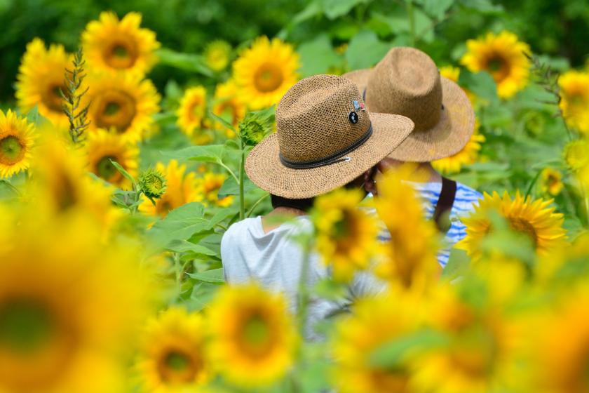 【早期割30☆小学生半額】家族旅行応援！夏はプール三昧！クアハウス入場券付きプラン 