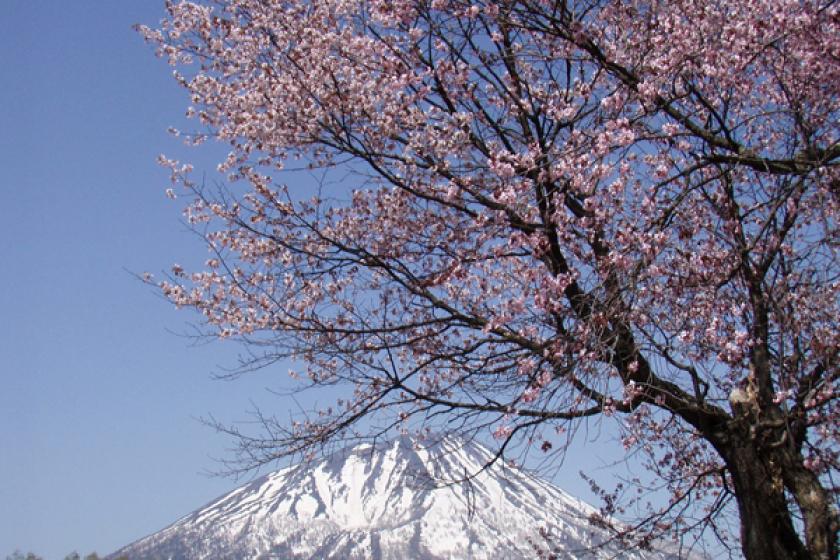 【直前割】【2食付き】初夏をニセコで過ごす◇公式HP限定20%OFF◇疲れた身体に温泉でリラックス♪＜温泉かけ流し＞