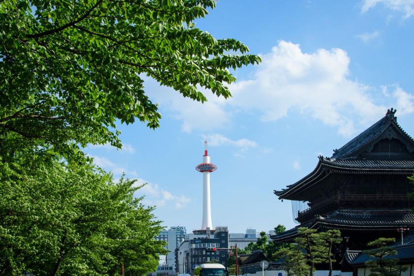 【公式HP限定】夏の京都を静かに堪能◎ゆったりめぐる京都旅～食事なし～