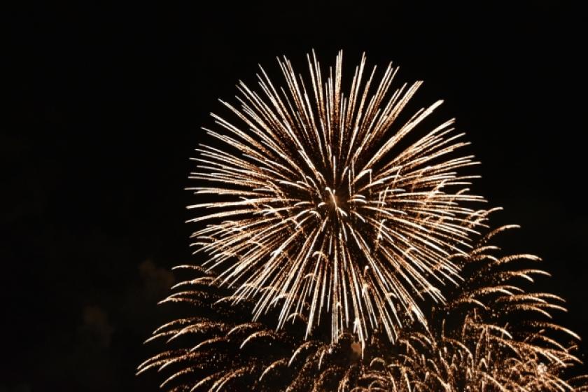【1組限定】瀬戸内海に打ちあがる花火をプライベートクルーズで満喫(2食付)