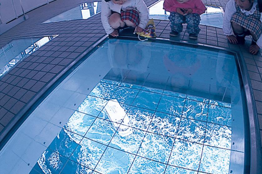 【夕食はレストラン】渦潮を見るなら☆海上遊歩道【渦の道】入場券と若女将が選んだプチお土産付♪鯛会席