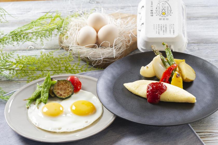 【朝食無料】素泊まり料金で朝食無料特典付き！夏の限定メニューお試しプラン＜朝食付＞