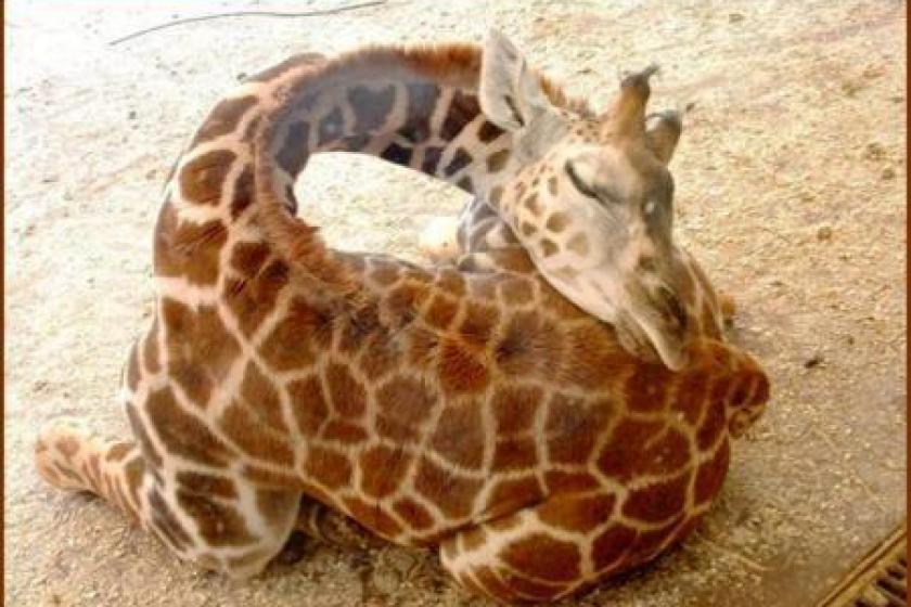 ●【レイトアウト・朝食付】朝もゆっくり、のんびり♪12時まで滞在OK♪♪レイトアウトプラン