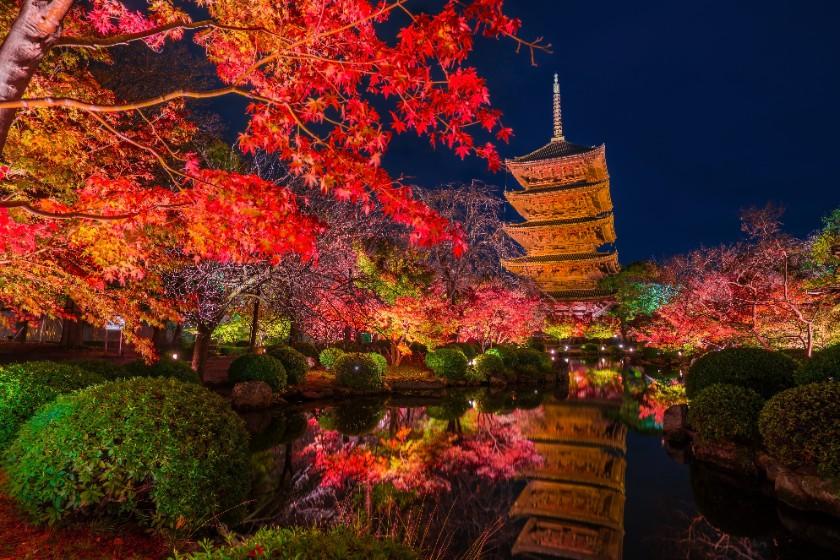 【公式HP限定】9月～11月のお日にち限定　秋色探しの旅　‐食事なし‐