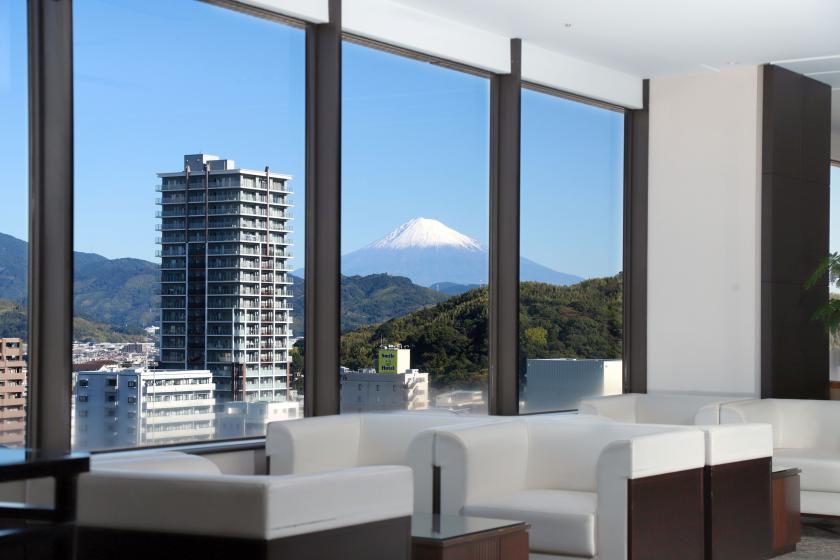 家康ゆかりの地、久能山東照宮と日本平ロープウェイを巡る観光タクシー3時間コース（朝食付）