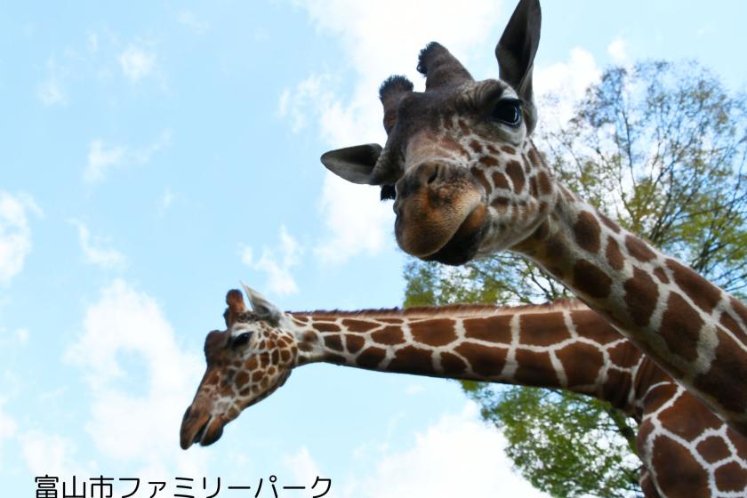 富山市博物館共通パスポート・屋内プール・ジムご利用券付　アクティビティ宿泊プラン（1泊2食付）