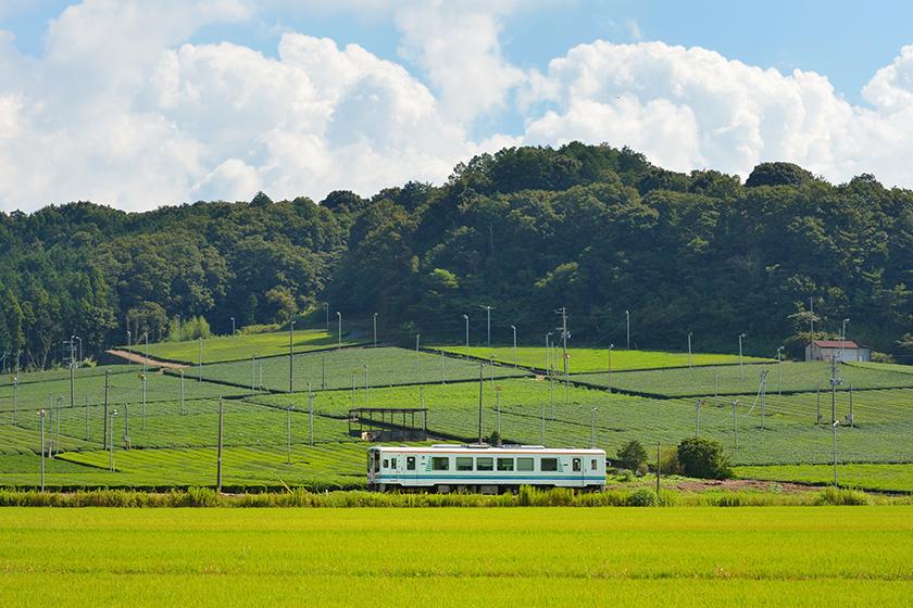 【天浜線でめぐる のんびりローカル旅】天浜線　1日フリーきっぷ付き宿泊プラン
