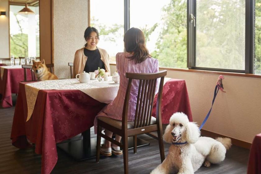 【早期割30】30日前のご予約で通常プランより最大10％OFF！～美食和会席料理～＜朝食付き＞