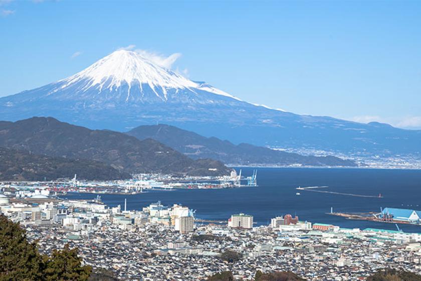 家康ゆかりの地、久能山東照宮と日本平ロープウェイを巡る観光タクシー3時間コース（朝食付）