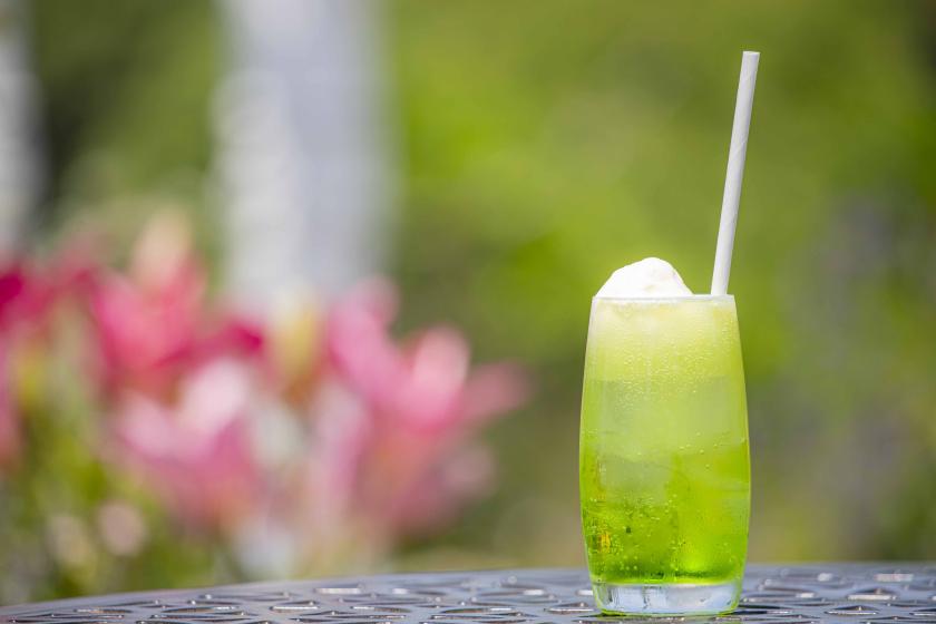 Summer Vacation for Adults ~Special Melon Cream Soda and Natural French Cuisine in a Quiet Forest~