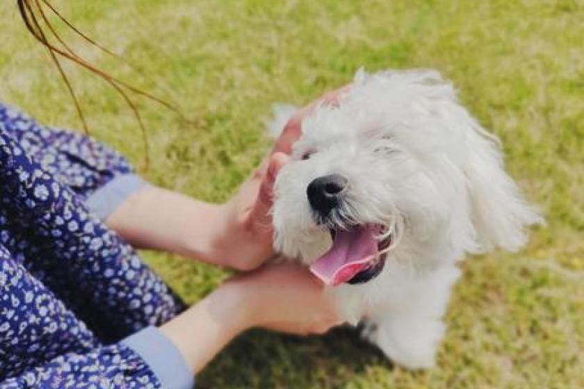 【DOG×STAY】愛犬と旅！一緒に過ごすリゾート【旬味覚会席夕食＆朝食付】