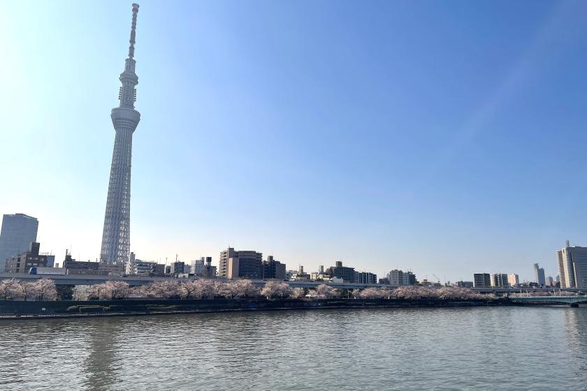 公式予約特典　早割120　- 素泊 -