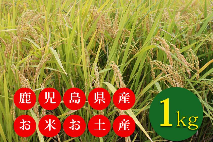 【鹿児島県産お米1キロお土産付】アルコール・ソフトドリンク飲み放題込♪郷土料理満載バイキング