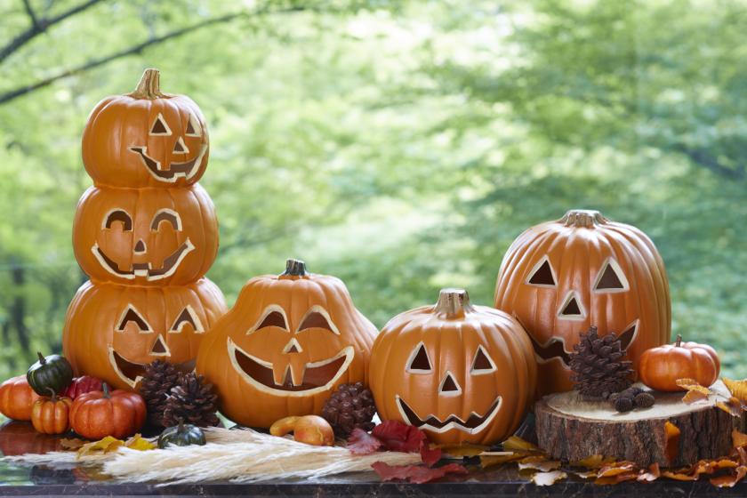 親子で楽しむハロウィンスタンプラリー2025