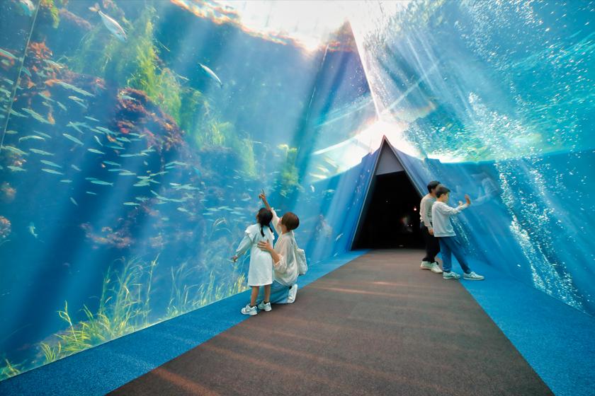 【水族館へGO！】アクアマリンふくしまチケット付きプラン＜素泊り＞