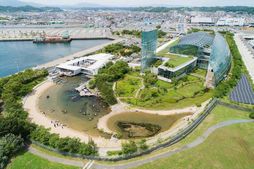 【水族館へGO！】アクアマリンふくしまチケット付きプラン＜素泊り＞
