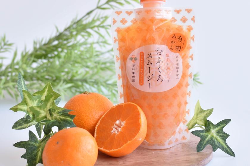 【夏の家族旅行】駐車場無料！　★お子様に和歌山県産のみかんスムージープレゼント