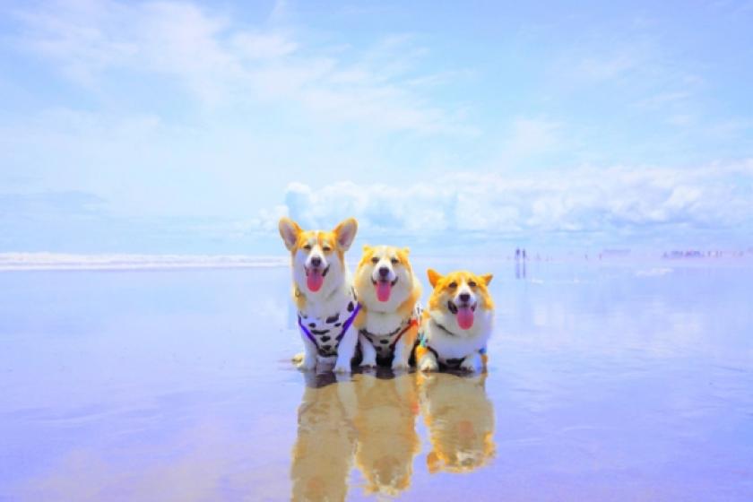 【DOG×STAY】愛犬と過ごすリゾートライフ！【旬味覚会席夕食＆朝食付】