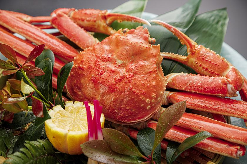 【冬の味覚の王様】本ずわい面付蟹(姿蟹)付き会席プラン