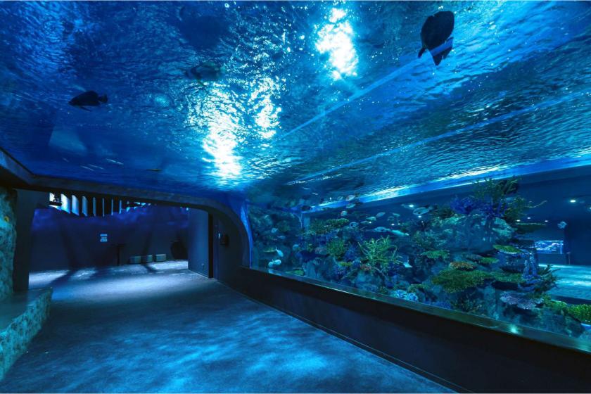 【ファミリーやカップルにおすすめ】DMM水族館入場チケット付き｜15時イン／12時アウト（朝食追加可能）