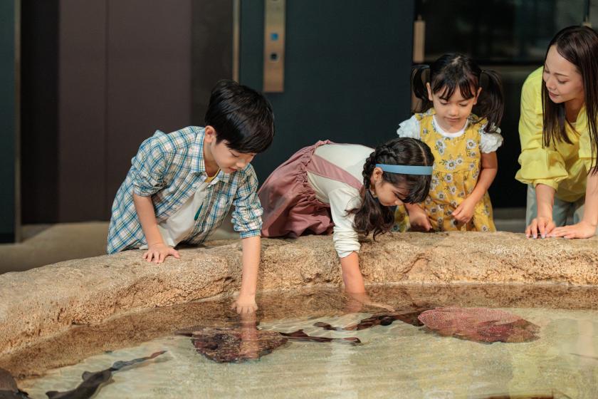 【ファミリーやカップルにおすすめ】DMM水族館入場チケット付き｜15時イン／12時アウト（朝食追加可能）