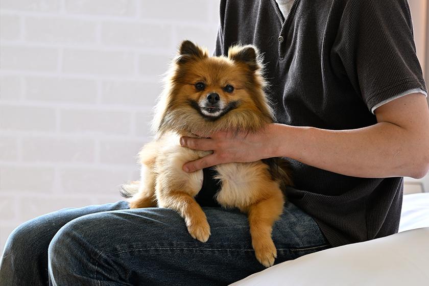 愛犬との宿泊におすすめ！「わんだふるプラン」（2025年9月～2026年3月宿泊）