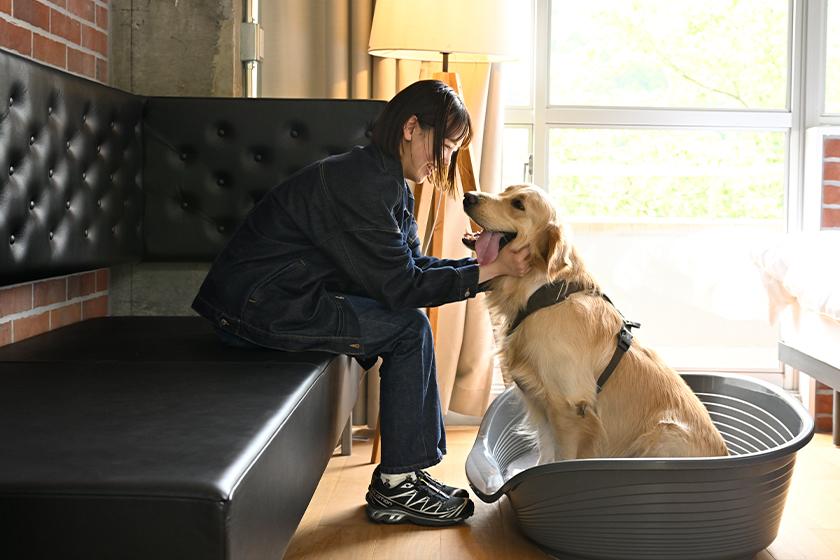 愛犬との宿泊におすすめ！「わんだふるプラン」（2025年9月～2026年3月宿泊）
