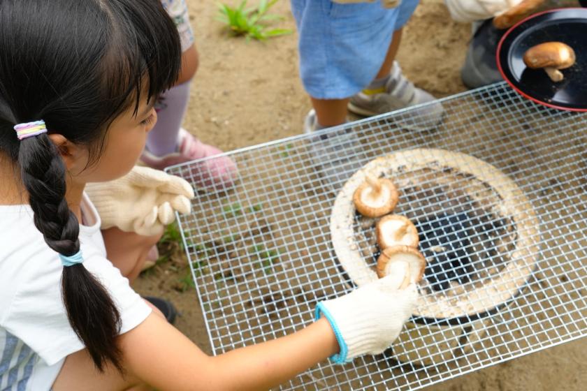 宿泊スタンダードプラン！夕食・朝食・アクティビティ付き