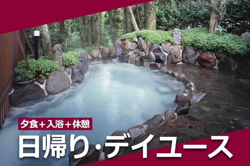 【夕食+入浴+休憩】和洋中バイキングプラン（日帰り・デイユース）