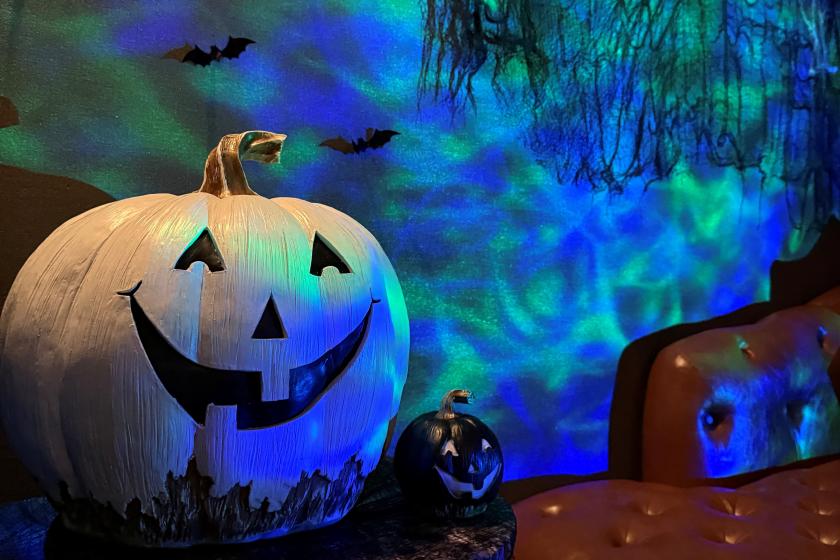 【1日1室限定】ミッドナイト・クルーズステイ～ハロウィン航海の一夜～<朝食付>