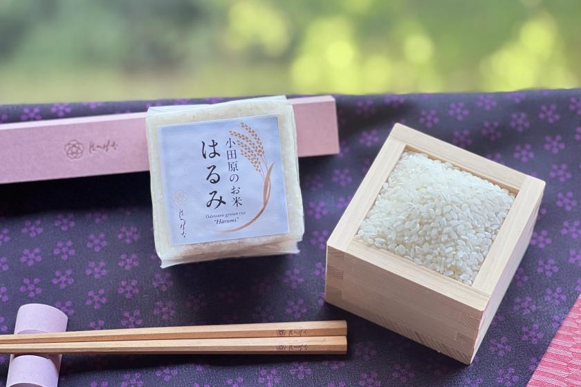 【リニューアル3周年記念】縁(えにし)プラン〈1泊2食付き〉~感謝を込めて、特別なひとときを~