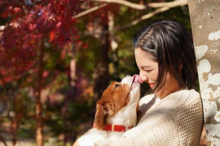 【DOG×STAY】愛犬と旅！一緒に過ごすリゾート【旬味覚会席夕食＆朝食付】