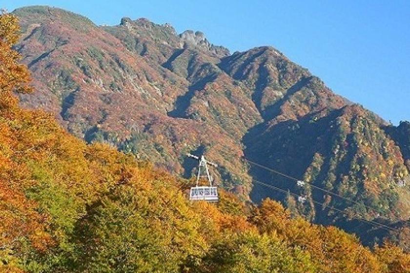 美しい３６０°の大パノラマ！☆「八海山ロープウェー」乗車チケット付きプラン☆
