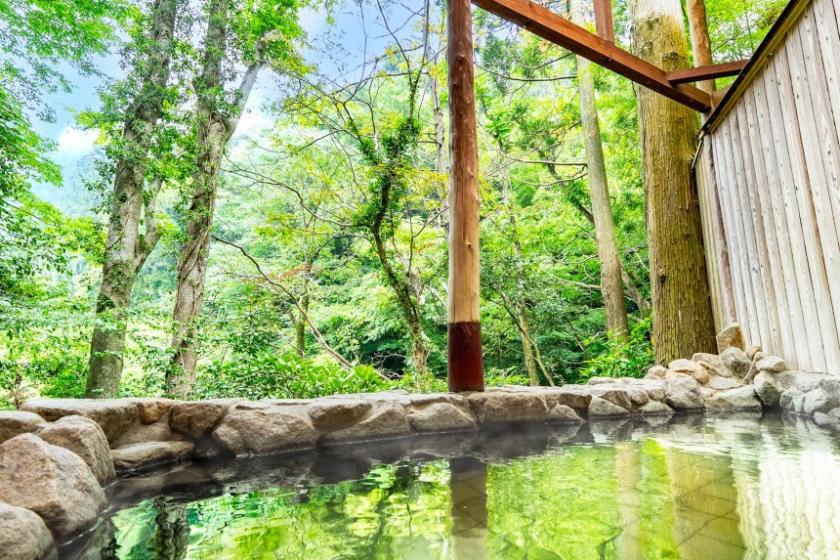 【スタンダードプラン】プライベートスパで過ごす美人の名湯温宿旅【ブレックファーストビュッフェ】
