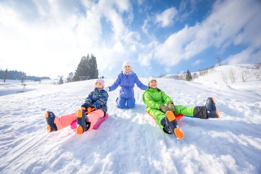 【早割２０☆リフト券無し】 雪遊びに最適！その他多目的にご利用いただける1泊2食付きプランです♪