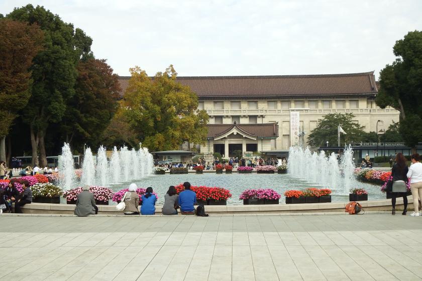 [Tokyo National Museum x NOHGA Collaboration Project Part 7] ~Cherry Blossom Viewing Edition~