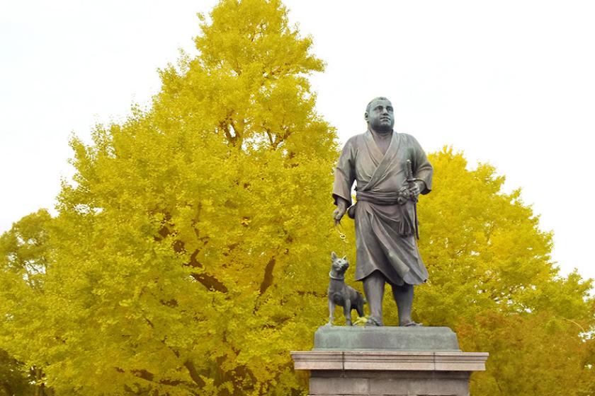 [Tokyo National Museum x NOHGA Collaboration Project Part 7] ~Cherry Blossom Viewing Edition~