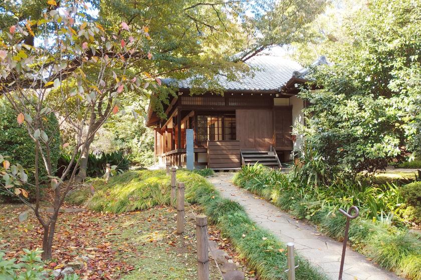 [Tokyo National Museum x NOHGA Collaboration Project Part 7] ~Cherry Blossom Viewing Edition~