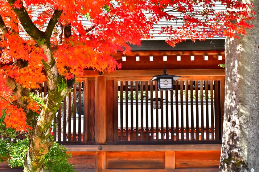 【期間限定】【３大特典付】奈良市のゆるキャラ「しかまろくん」に囲まれたお部屋に泊まろう！＜朝食付き＞