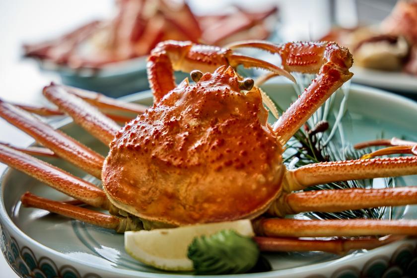 【活がに会席プラン】北陸の旬を楽しむ! 刺し・焼き・蒸しを堪能する蟹尽くしプラン♪